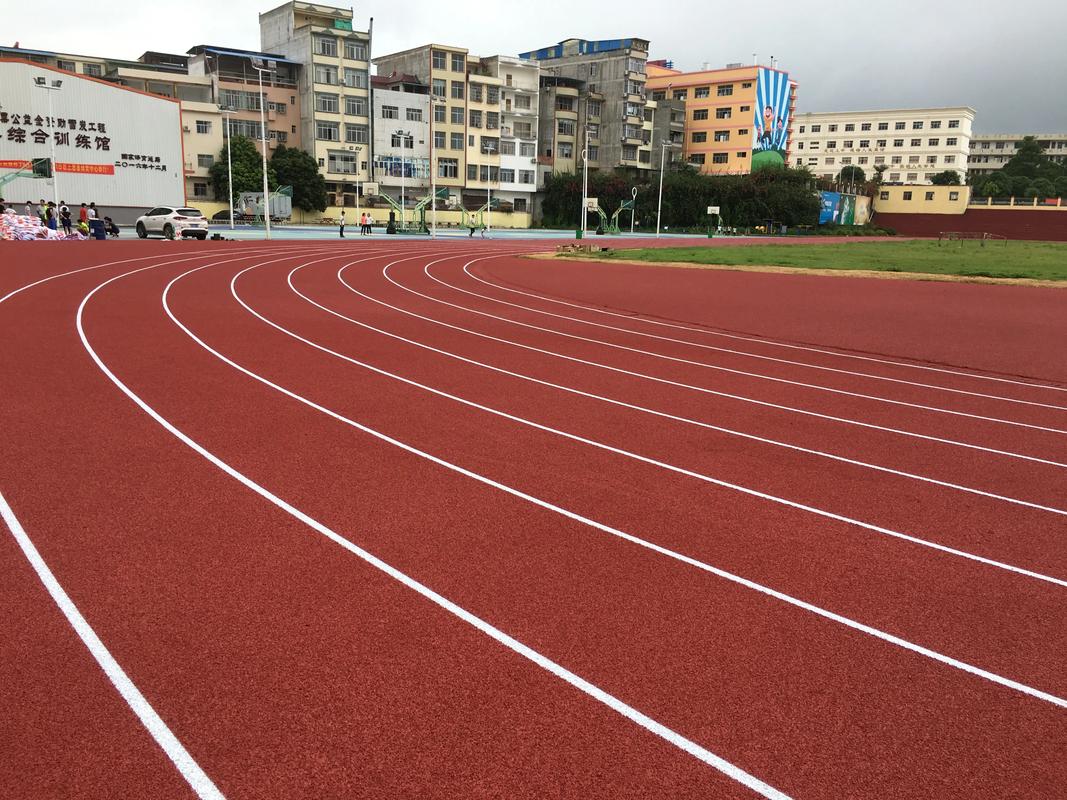 五指山市人造草坪塑胶跑道材料 - 推荐